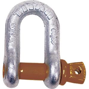 SHACKLE-D ANCHOR GALV 1IN