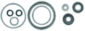 LOWER UNIT SEAL KIT